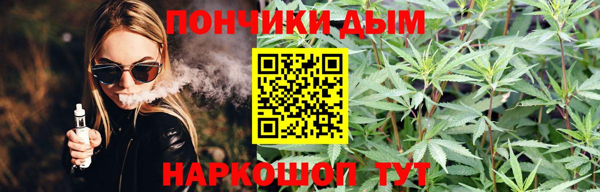 Шишки марихуана семена Краснокамск